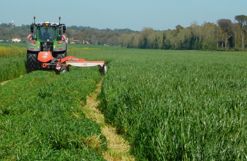 La produttività della stalla si costruisce anche in campo