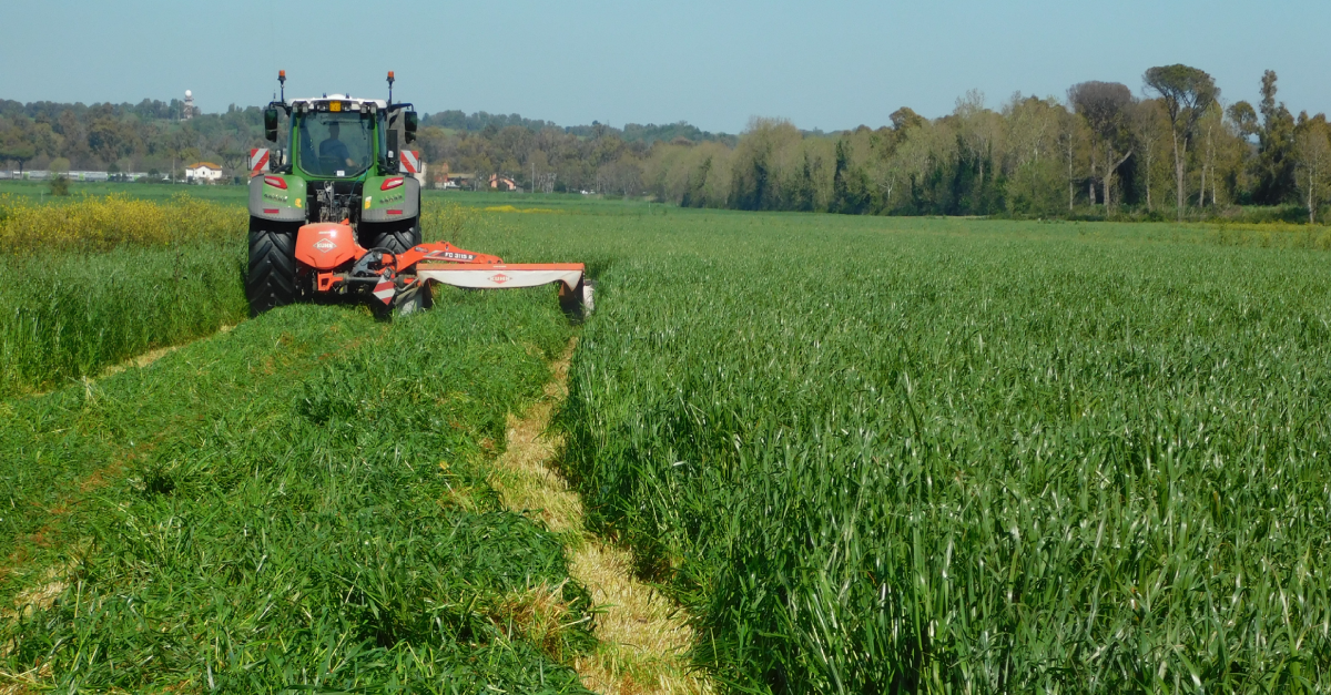 La produttività della stalla si costruisce anche in campo